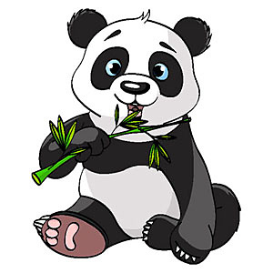 Fototapeta Panda s halúzkou 5818